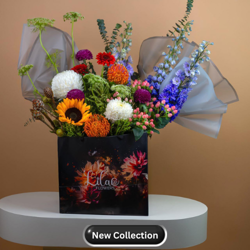 new collection category